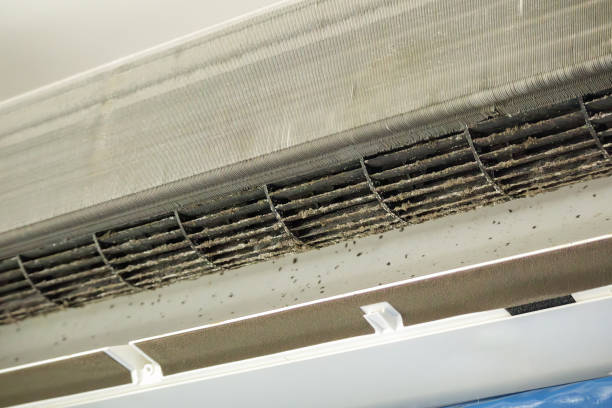 Best Air Duct Cleaning Near Me  in Falconer, NY